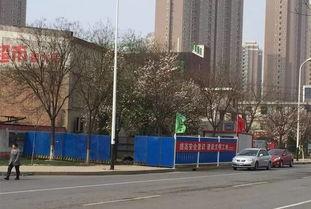 沧州爆料最新,揭秘城市新动态，探寻民生热点